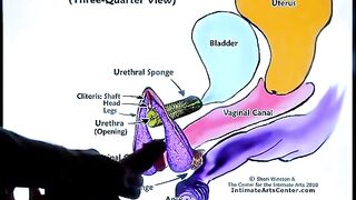 The best way to make a woman squirt - follow this simple tutorial!