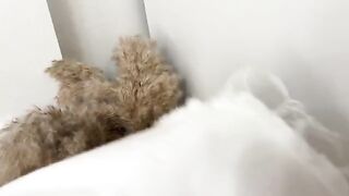 Sniffed panties and fucked a curvy woman in her wet pussy, capturing real orgasms