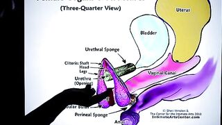 How to Squirt?! The ultimate guide by Mr. PussyLicking, a must-see!