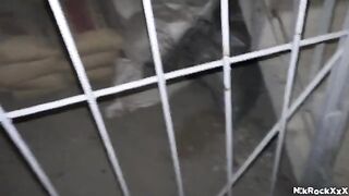 A stalker with a big dick sneaks up on his victim and fucks her