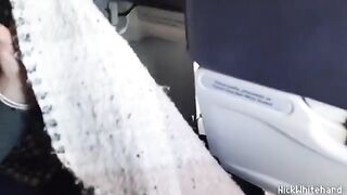 The pilot's wife got a bit horny on the airplane