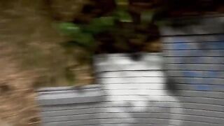A girl meets a guy in the park and has rough sex with him