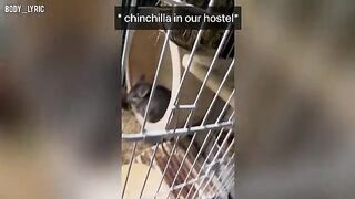 A couple has sex in a capsule hostel and continues their journey to the big city