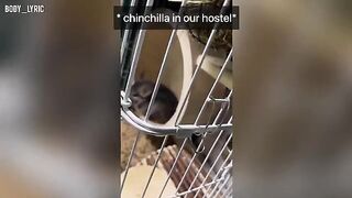 A couple has sex in a capsule hostel and continues their journey to the big city
