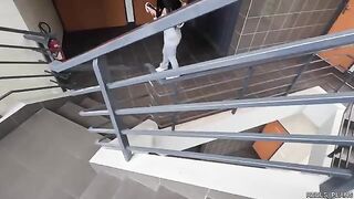 Fucking Latina with perfect ass in the elevator