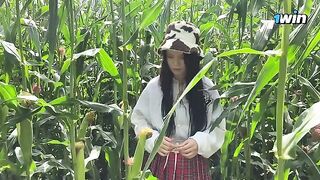 Security guard issued a summons to the thief in the cornfield for public indecency