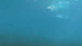 Underwater sex is the best sex, especially in the sea