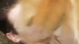 A young girl was sucking a cock in the park and got caught
