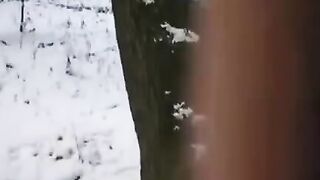 A cunning guy tried to freeze the cock and pussy of a girl in time