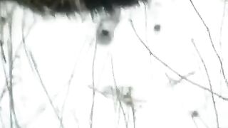 A winter blowjob scene shot on the street with a captivating POV view