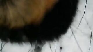 A winter blowjob scene shot on the street with a captivating POV view