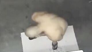 A naked man was seen by a hidden shower camera