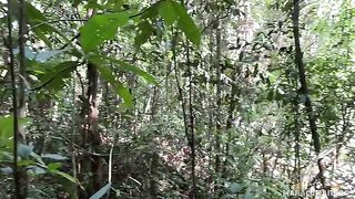 Fresh air and her warm lips on my cock - Maracumangoo
