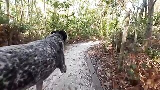 A couple has fun in the jungle, sparks fly wildly