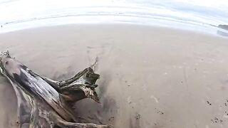 The girl made a blowjob right on the beach and got a cumshot